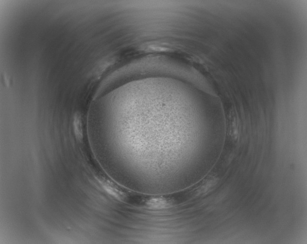 X0000056000562200508221326