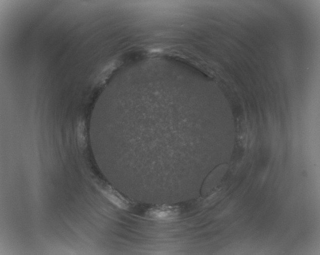 X0000056000563200508221326