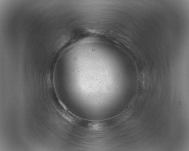 X0000056000564200508221326