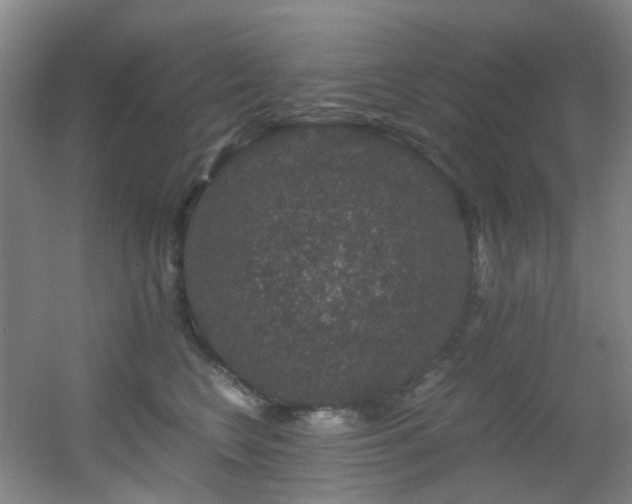 X0000056000566200508221326