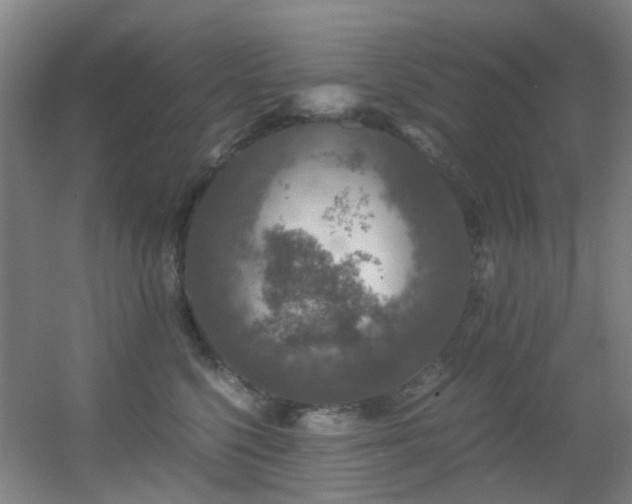 X0000056000568200508221326