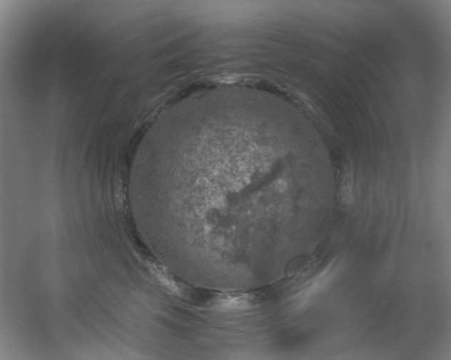 X0000056000569200508221326