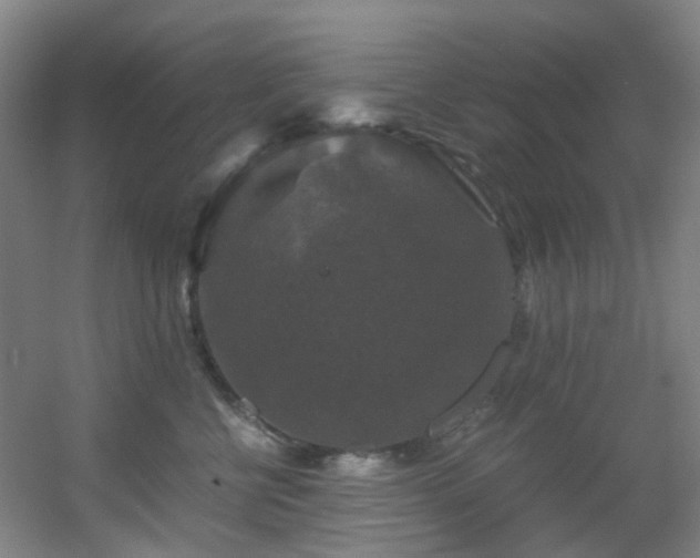 X0000056000570200508221326