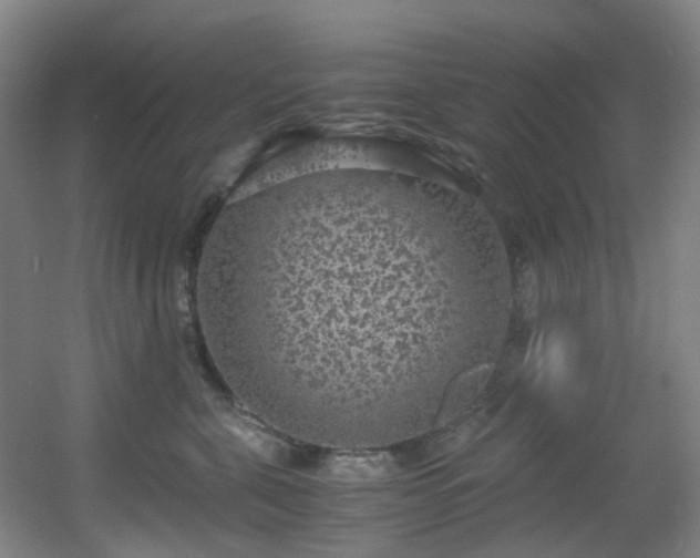 X0000056000571200508221326