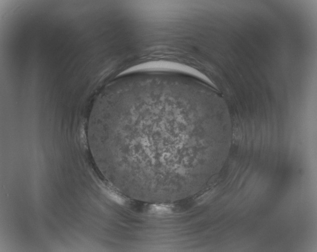 X0000056000573200508221326