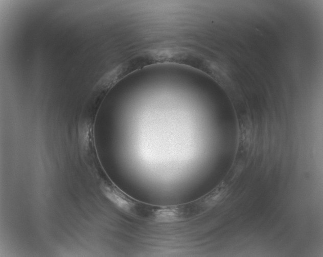 X0000056000574200508221326