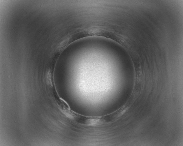 X0000056000575200508221326