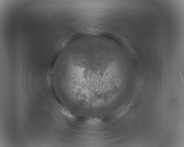 X0000056000576200508221326