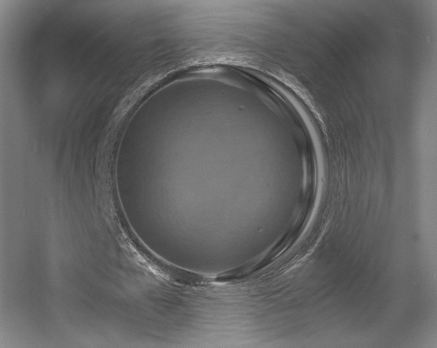 X0000056000577200508221325