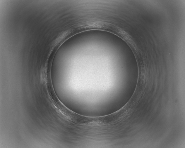 X0000056000578200508221325