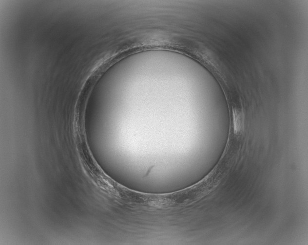 X0000056000579200508221325