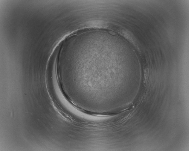 X0000056000580200508221325