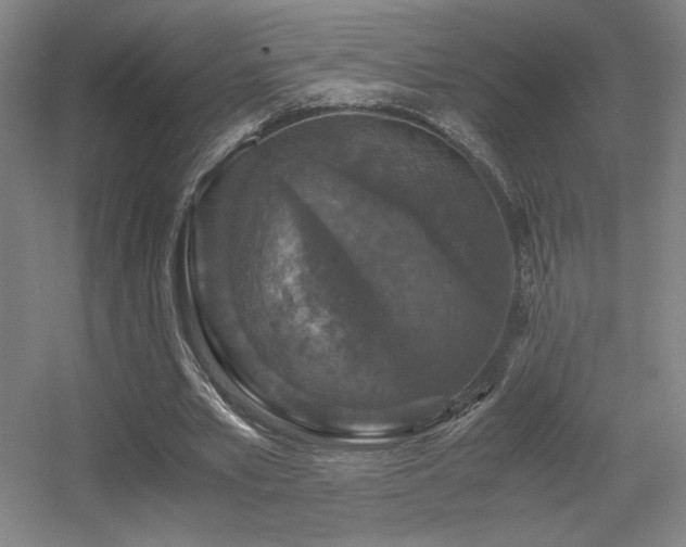 X0000056000581200508221325