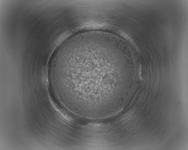 X0000056000582200508221325