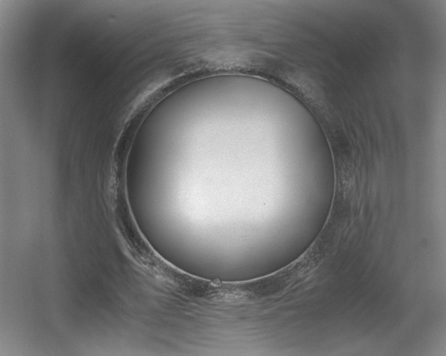 X0000056000583200508221325