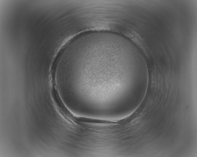 X0000056000584200508221325