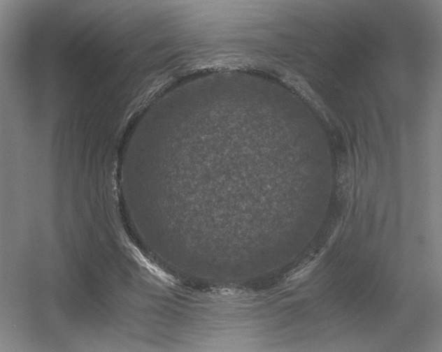 X0000056000585200508221325