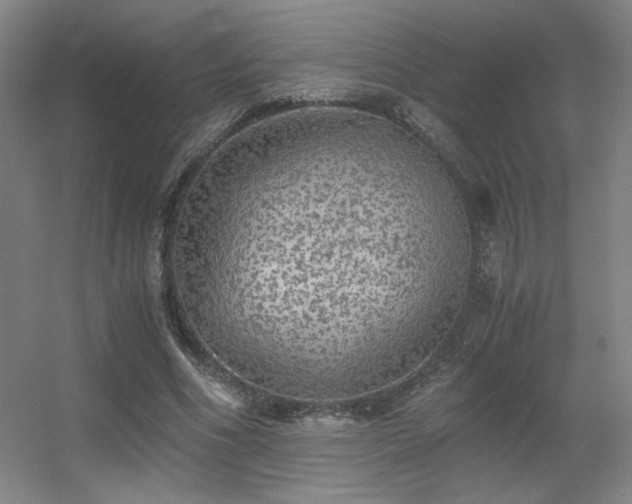 X0000056000586200508221325