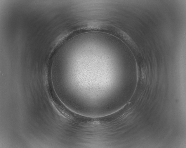 X0000056000588200508221325