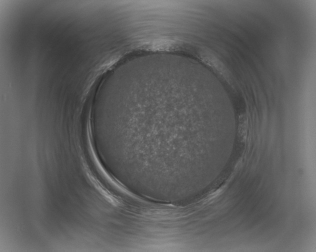 X0000056000589200508221325