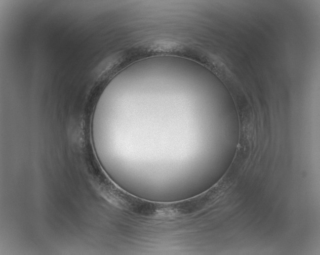 X0000056000591200508221325