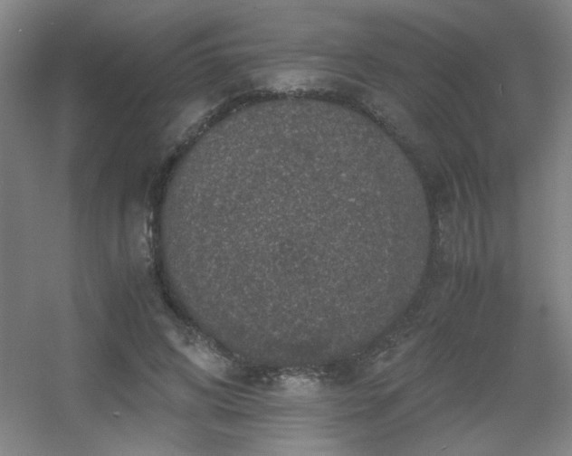 X0000056000592200508221325