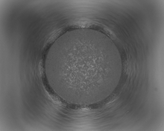 X0000056000594200508221325