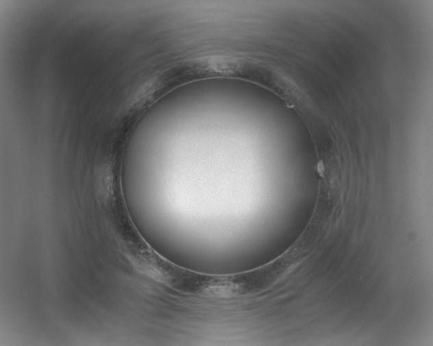 X0000056000595200508221325