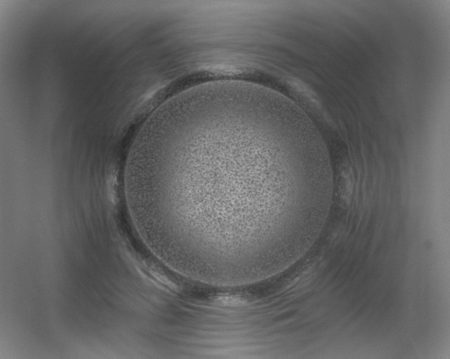 X0000056000596200508221325