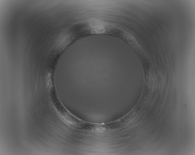 X0000056000598200508221325