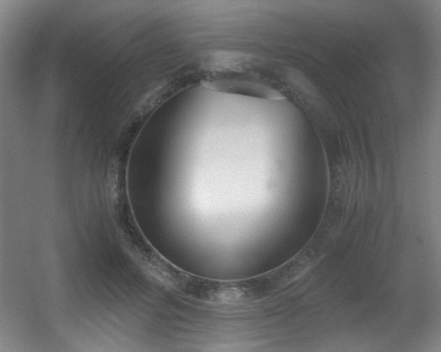 X0000056000600200508221325