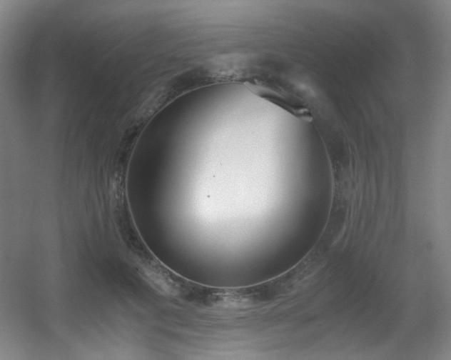 X0000056000601200508221325