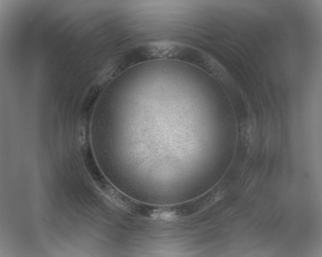 X0000056000602200508221325