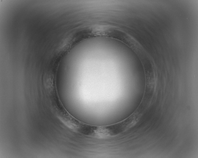 X0000056000603200508221325