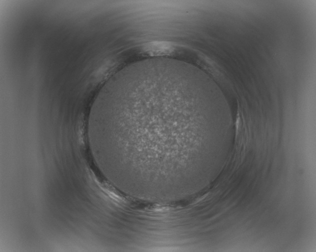 X0000056000604200508221325