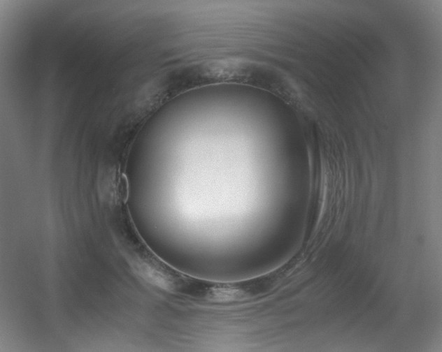 X0000056000605200508221325