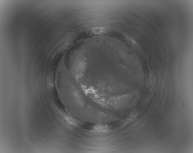 X0000056000606200508221325