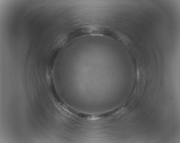 X0000056000607200508221325