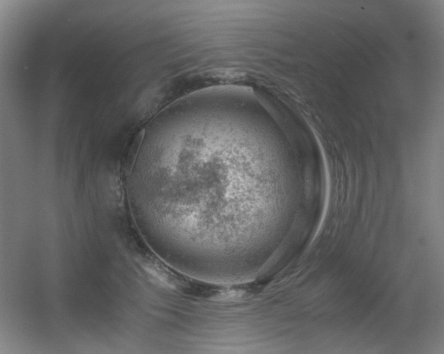 X0000056000609200508221325