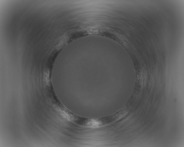 X0000056000610200508221325