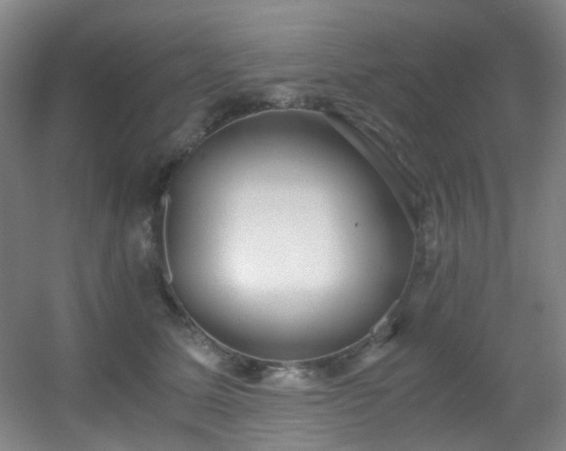 X0000056000611200508221325