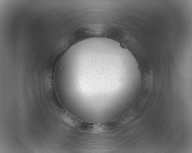 X0000056000612200508221325