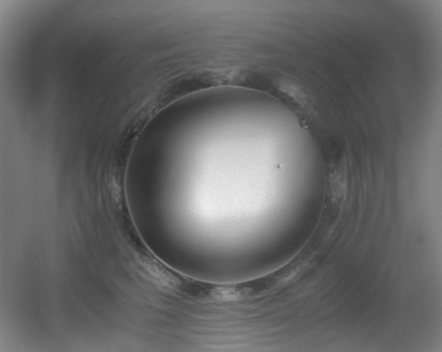 X0000056000613200508221324