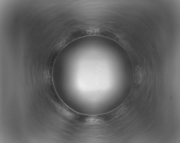 X0000056000614200508221324