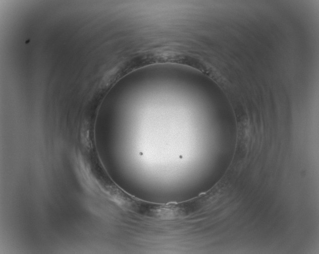 X0000056000615200508221324