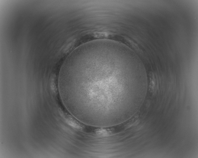 X0000056000616200508221324