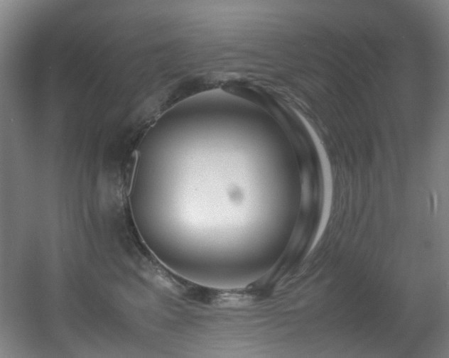 X0000056000617200508221324