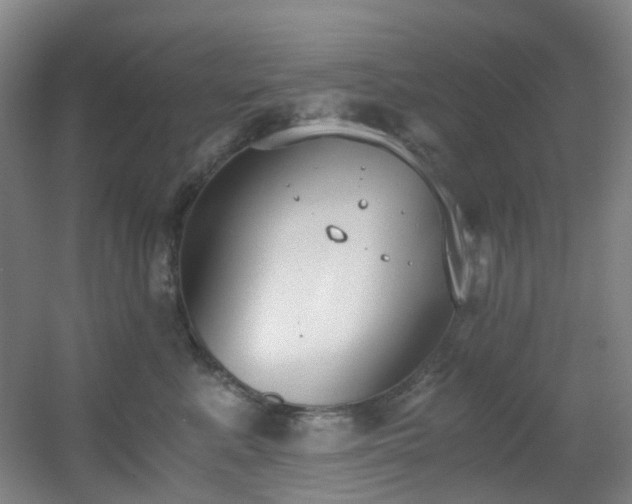 X0000056000619200508221324