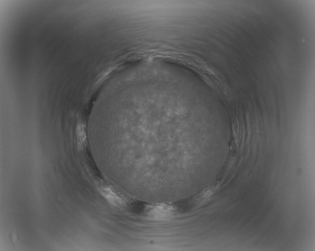 X0000056000621200508221324