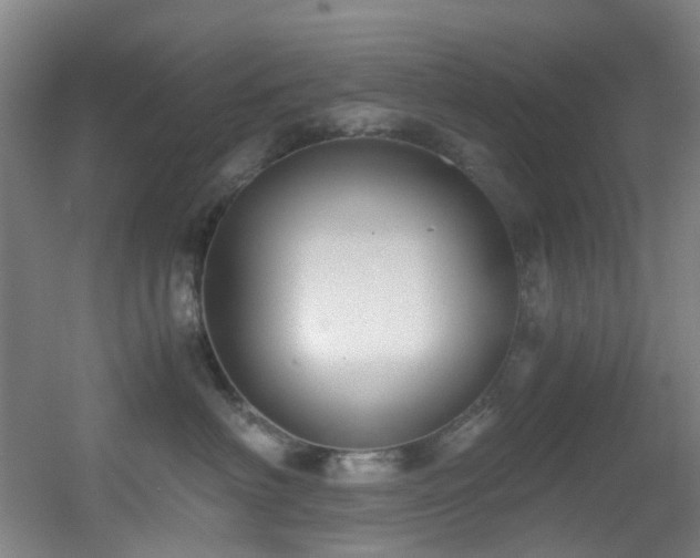 X0000056000622200508221324